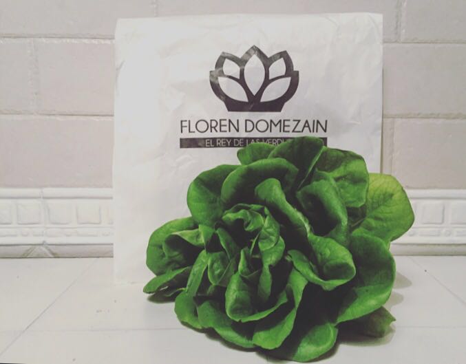 Oui Oui-floren domezain-restaurante-lechuga