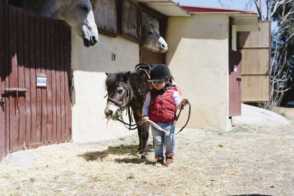 Oui Oui-caballos de guadalajara-marta machin (1)