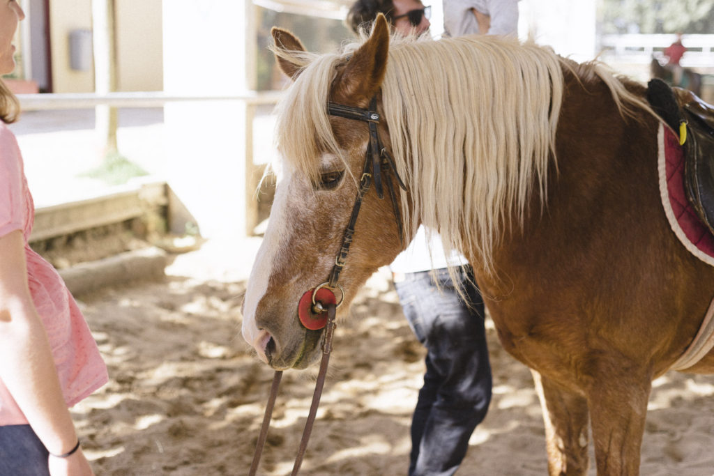 Oui Oui-caballos de guadalajara-marta machin (33)