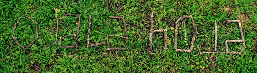 Oui Oui-escuela en la naturaleza-ojala-hoja-forest kindergarden