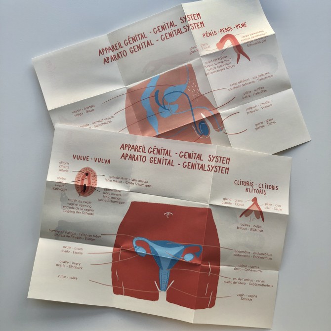 Juego Test ETS - Juegos de Sexualidad- Educar sin Estereotipos- TOPLA