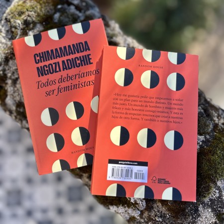 Libro Todos deberíamos ser Feministas